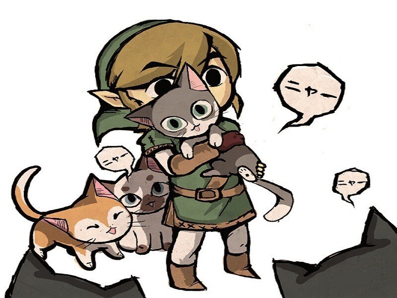 Link holding cats