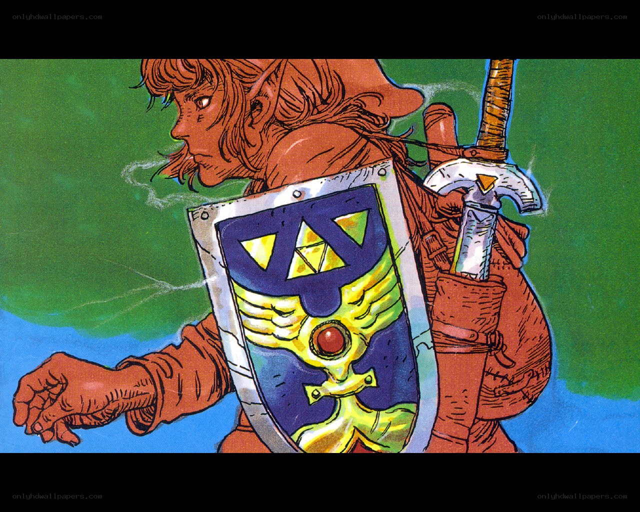 Link holding shield and sword