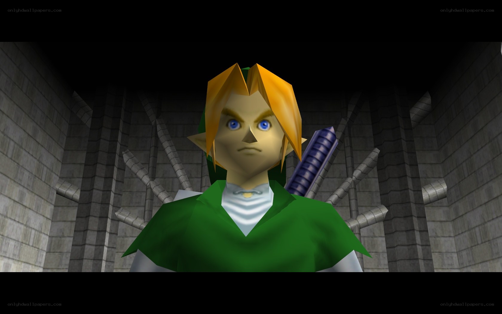 Link in a dungeon