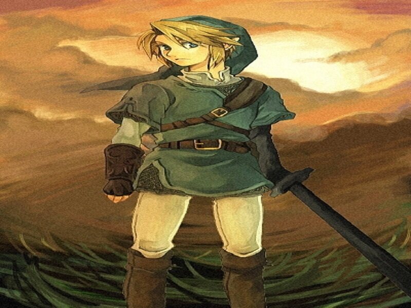 Link in a field at sunset