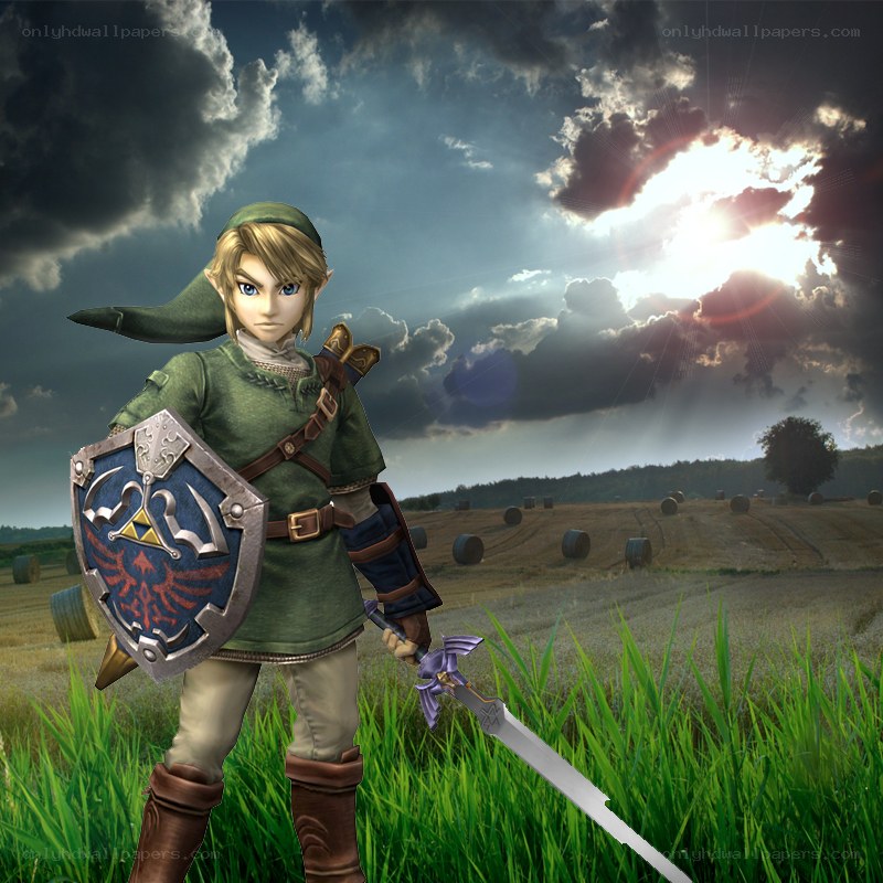 Link in a field at sunset