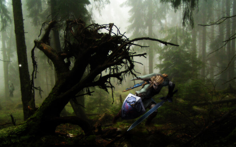 Link in a misty forest