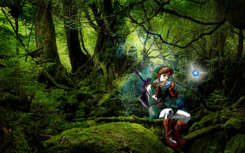 Link in a rainy forest