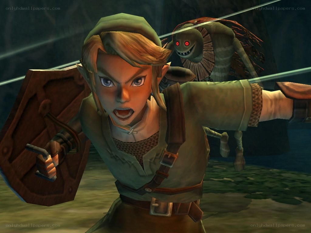 Link in action with a monster