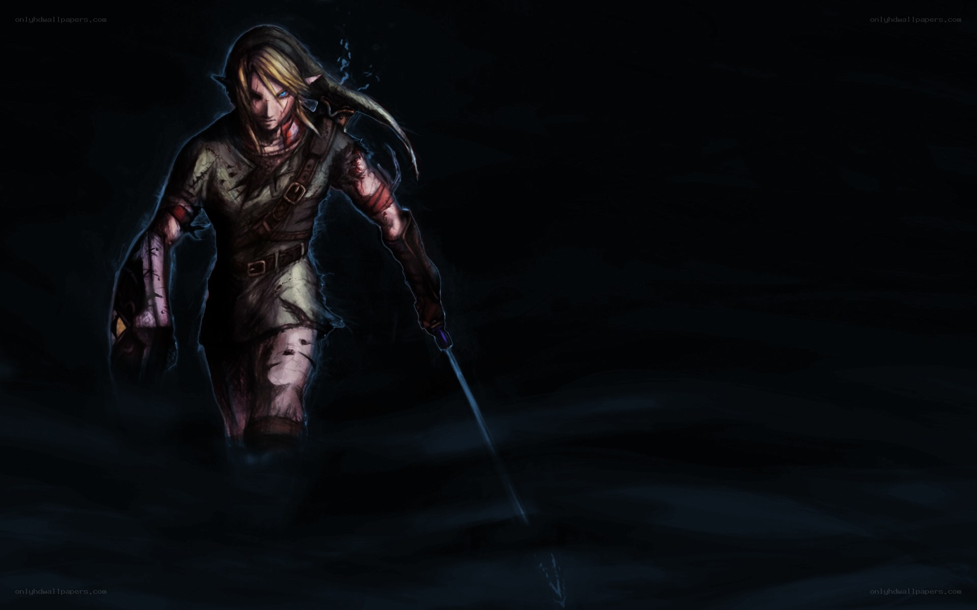Link in dark dungeon