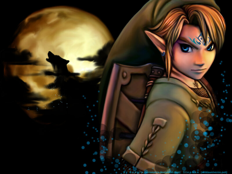 Link in moonlight