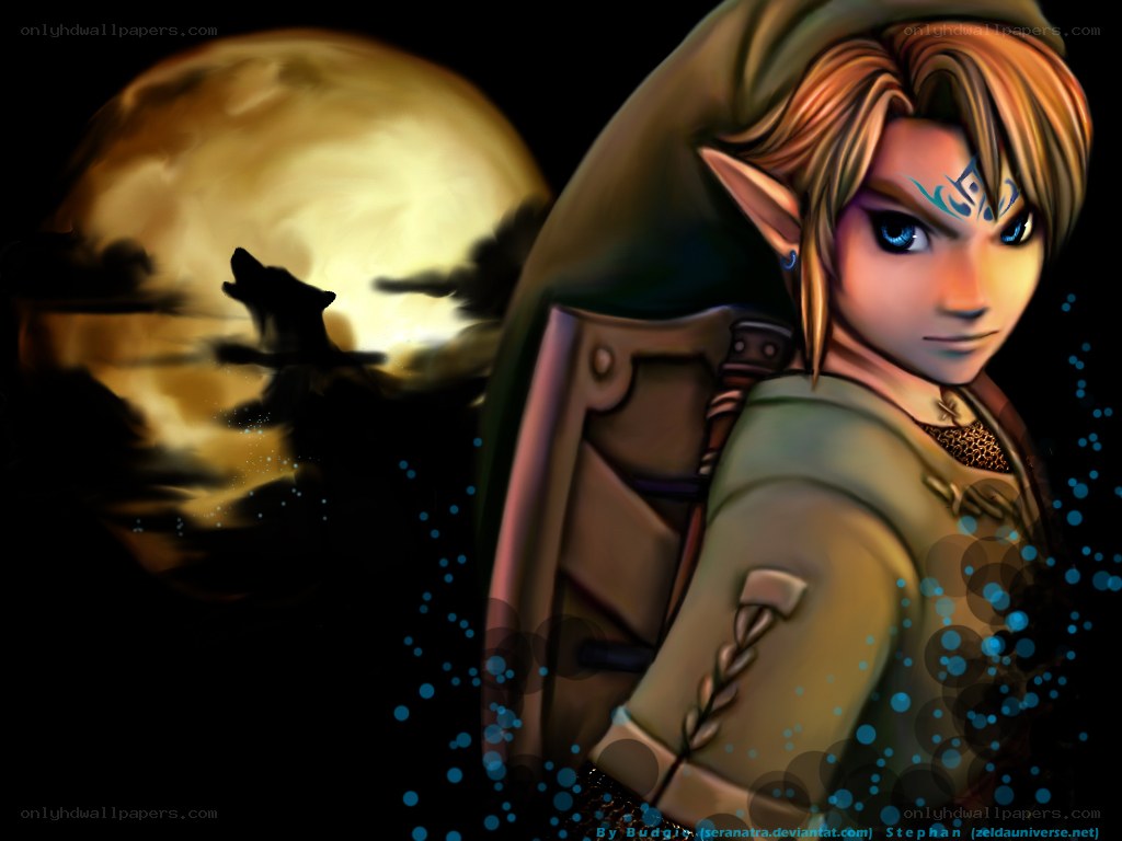 Link in moonlight