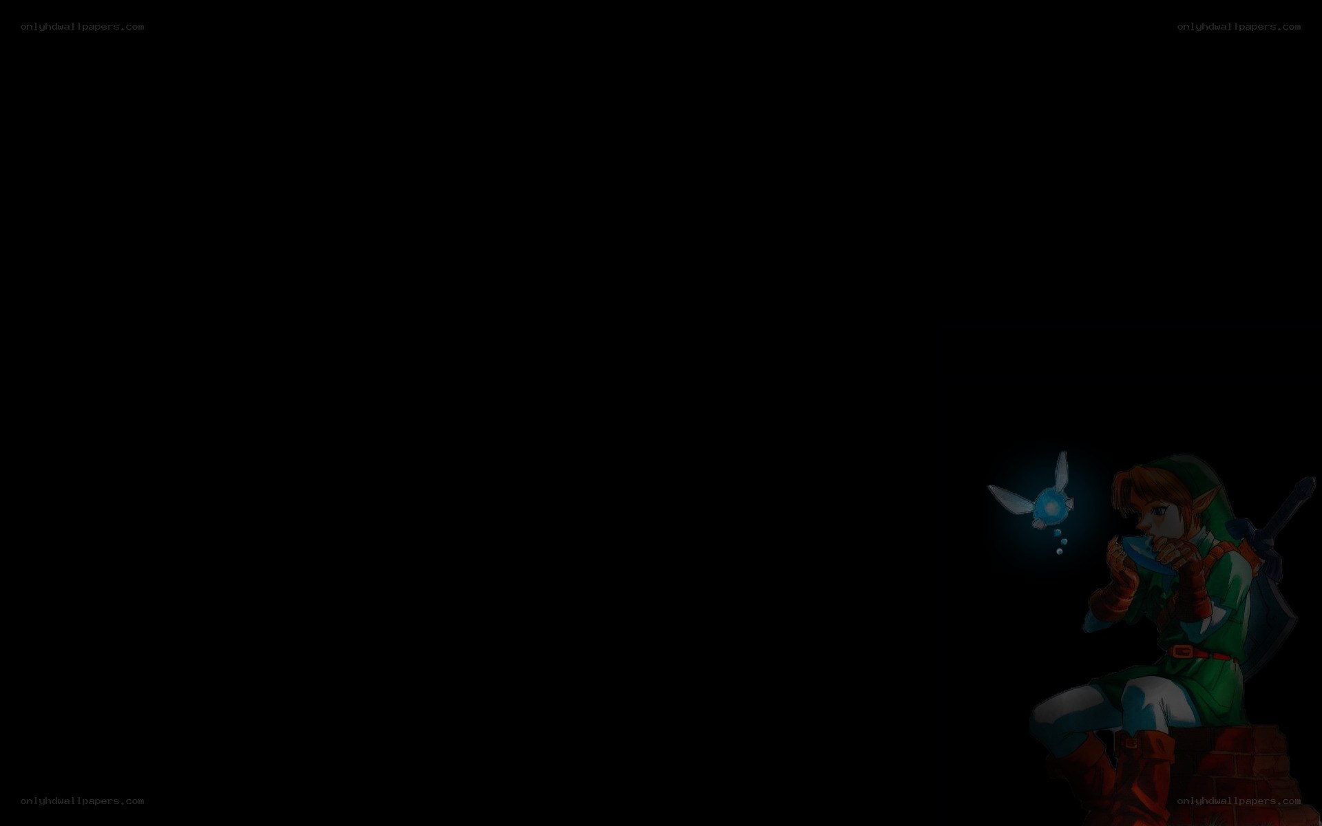 Link in the dark
