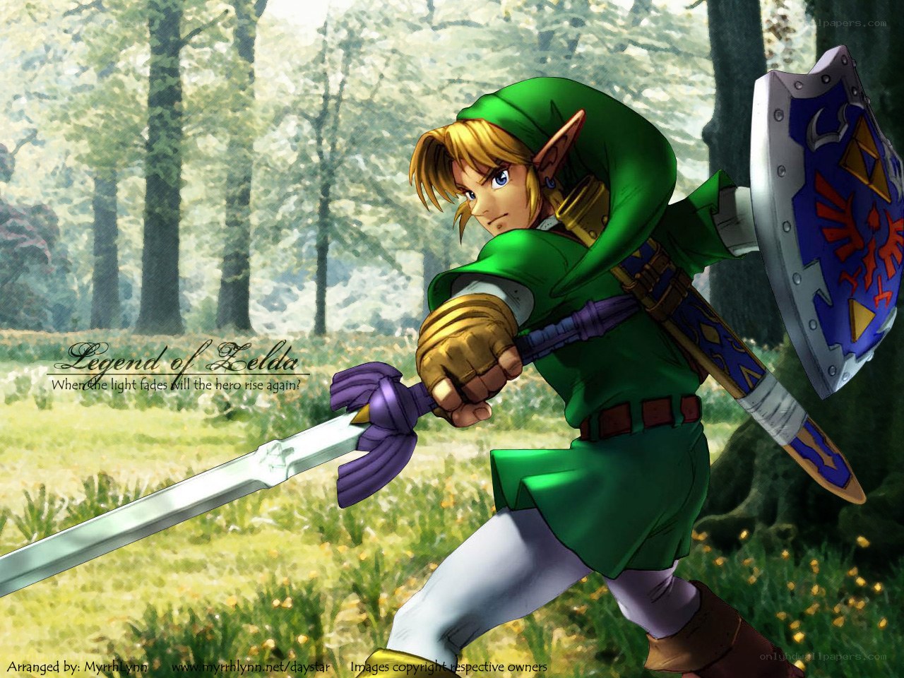 Link in the forest