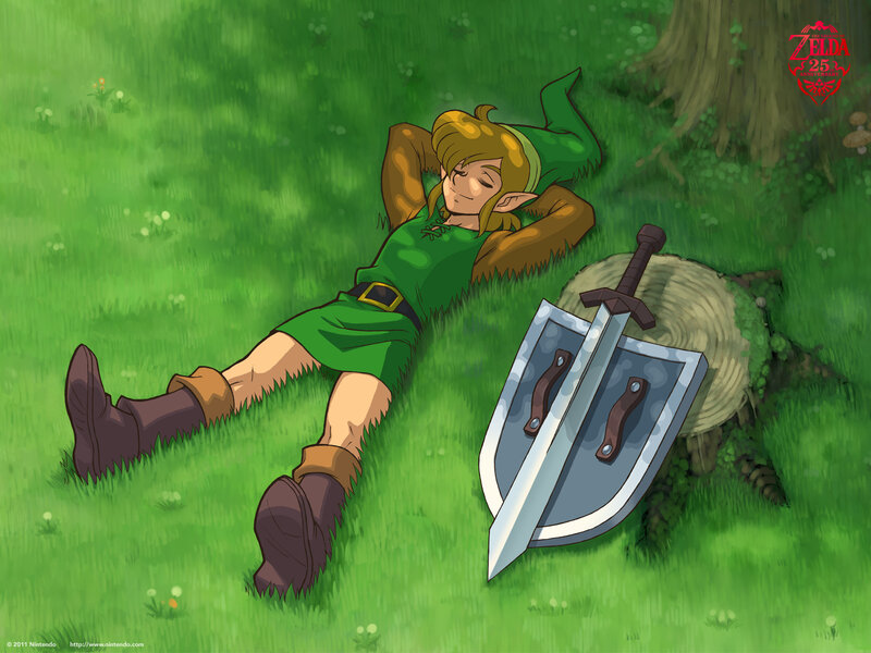 Link Resting in Grass