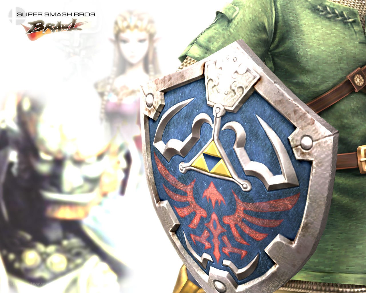 Link's shield in Super Smash Bros Brawl