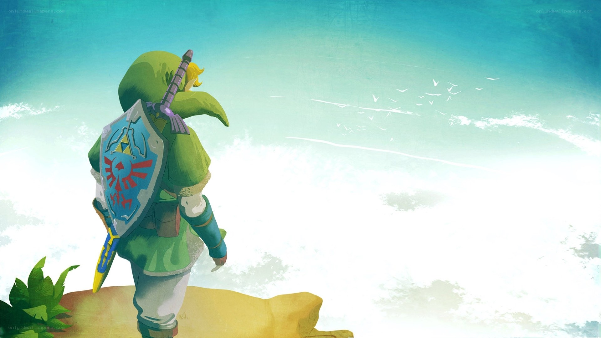 Link stands on a cliff