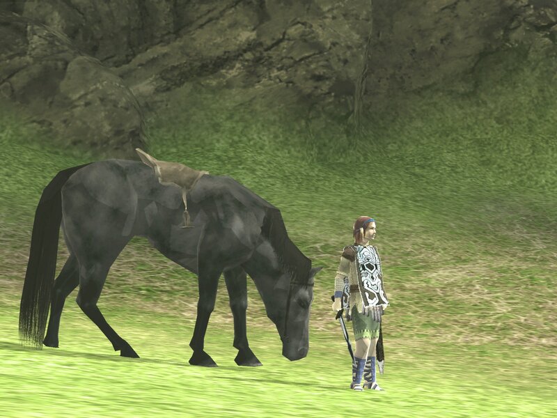 Link with a Black Horse
