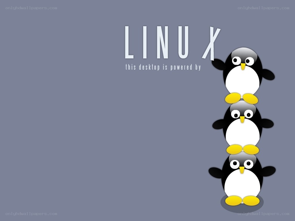 Linux desktop wallpaper