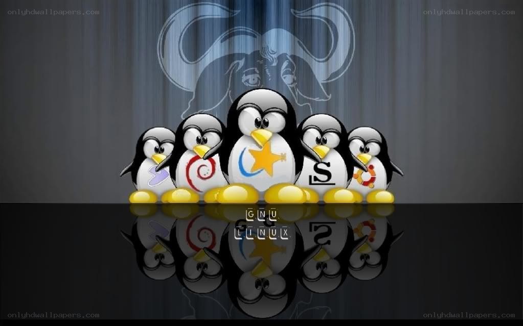Linux distribution penguins