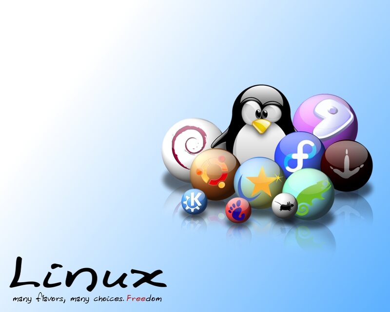 Linux distributions and mascot