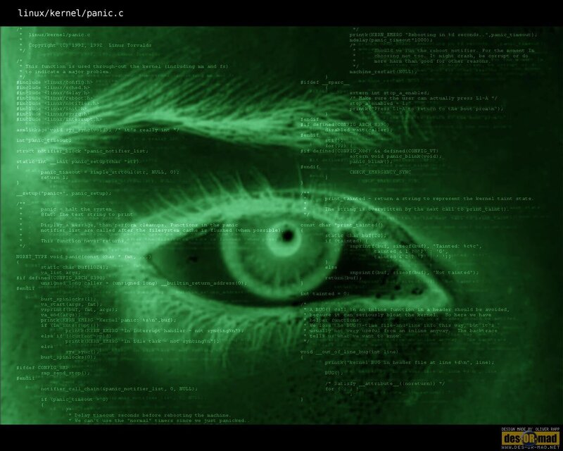 Linux kernel panic code