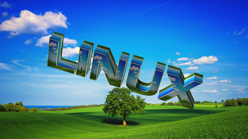 Linux Logo in Field
