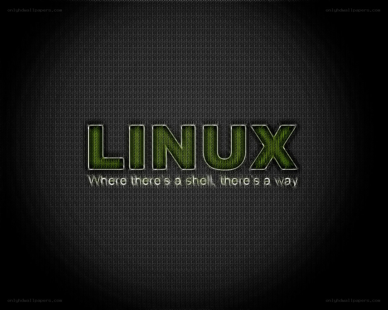 Linux logo on dark background