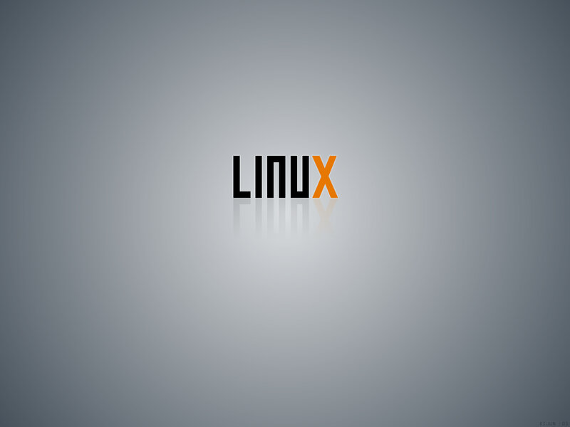 Linux logo on gray background