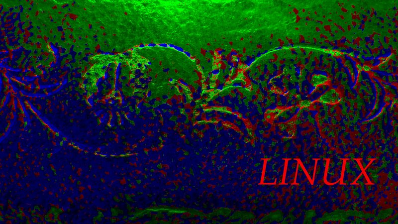 Linux Logo on Textured Surface