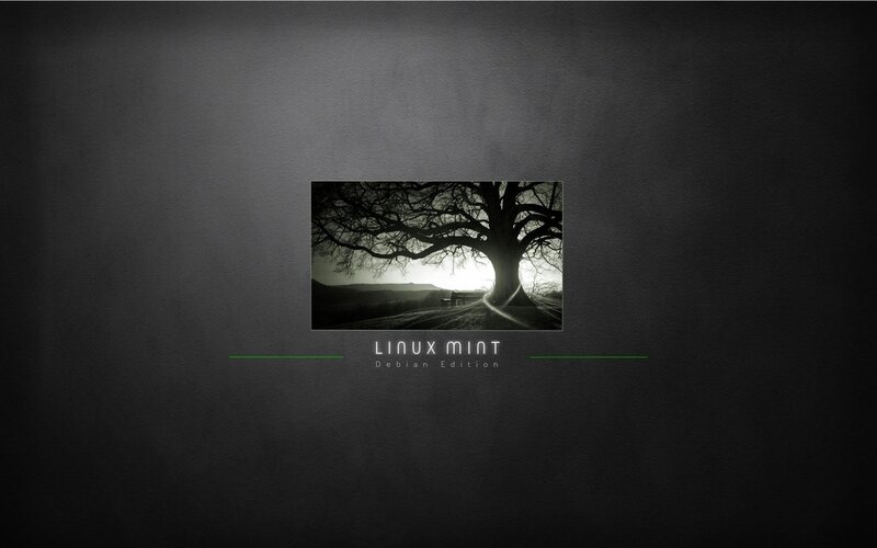 Linux Mint Debian Edition