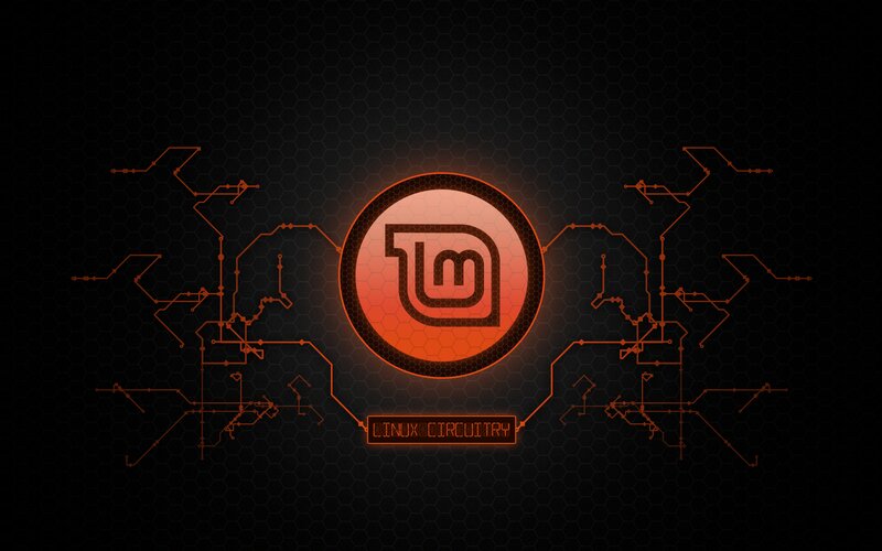 Linux Mint Logo — Black, Technological