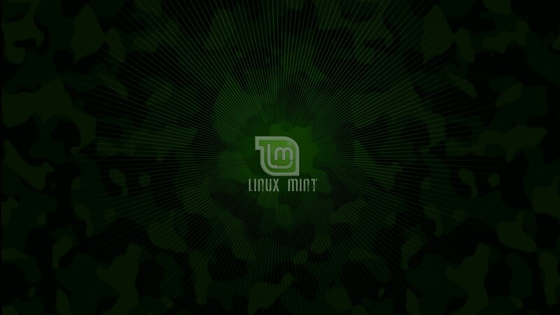 Linux Mint logo on camouflage