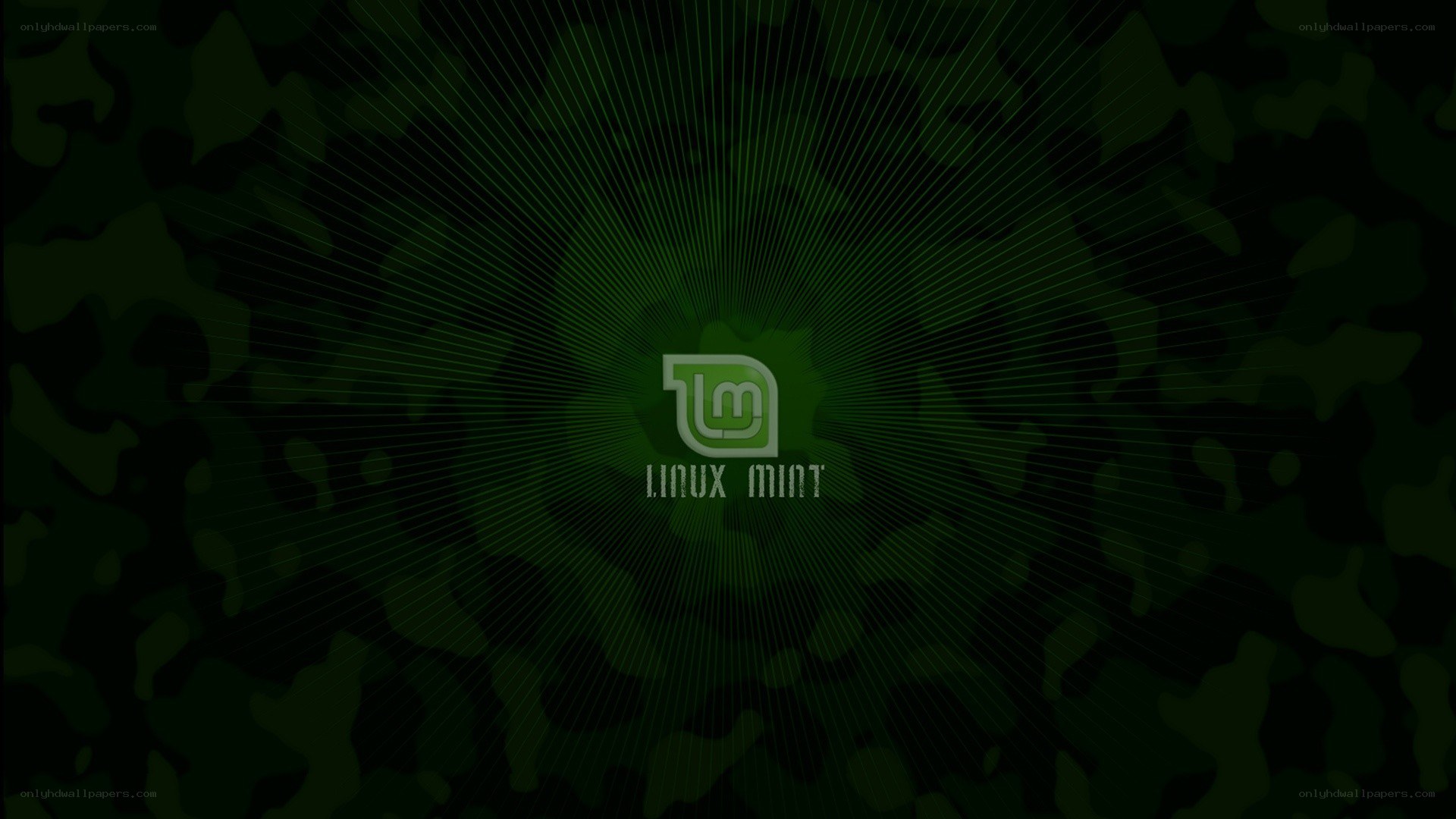 Linux Mint logo on camouflage