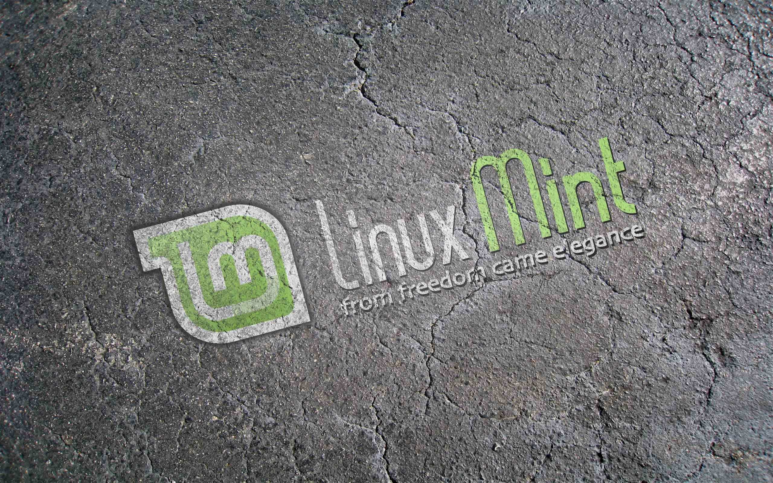 Linux Mint logo on cracked surface