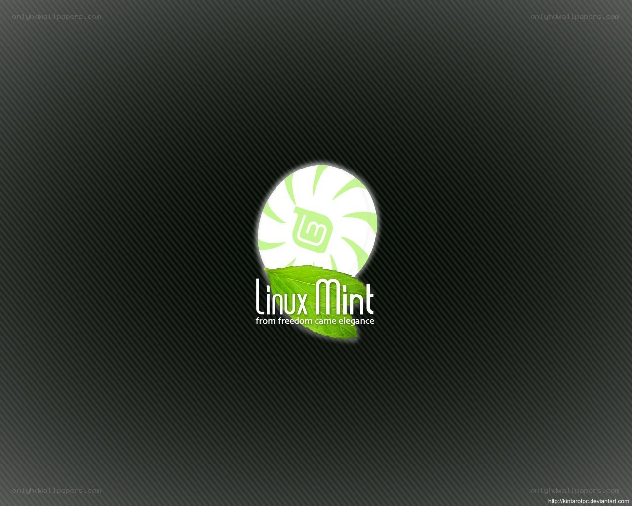 Linux Mint logo on dark background