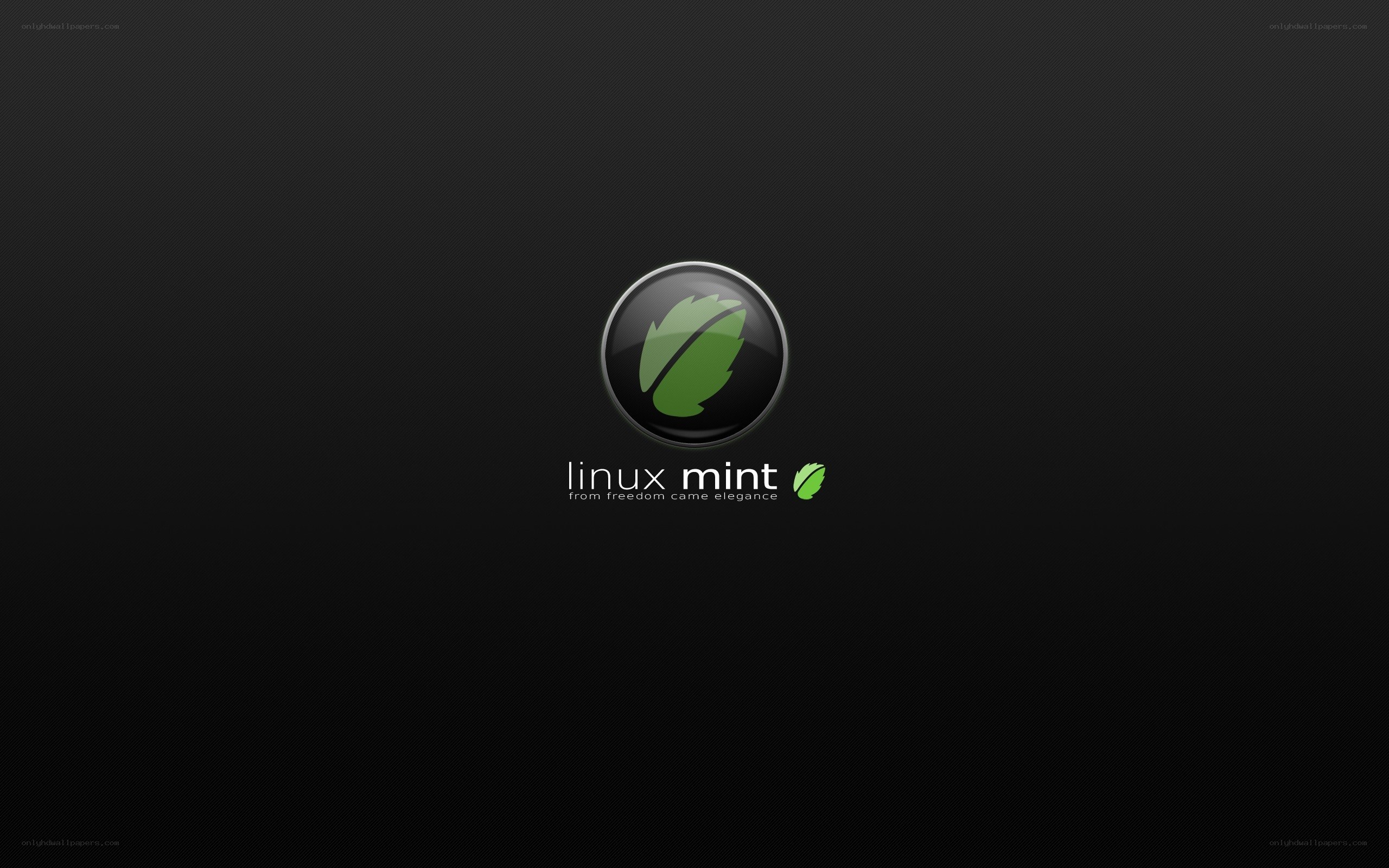Linux Mint logo on dark background