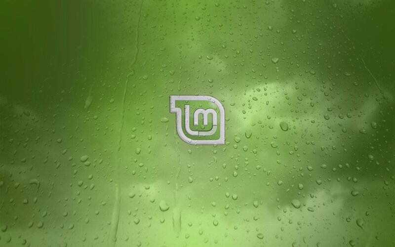 Linux Mint logo on green background