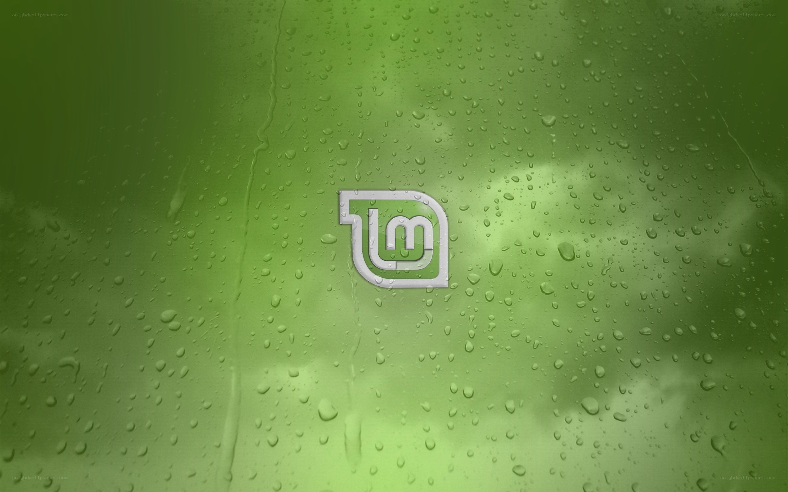Linux Mint logo on green background