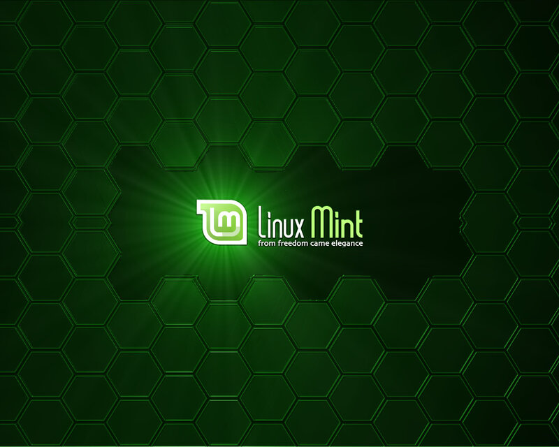 Linux Mint logo on green hexagon