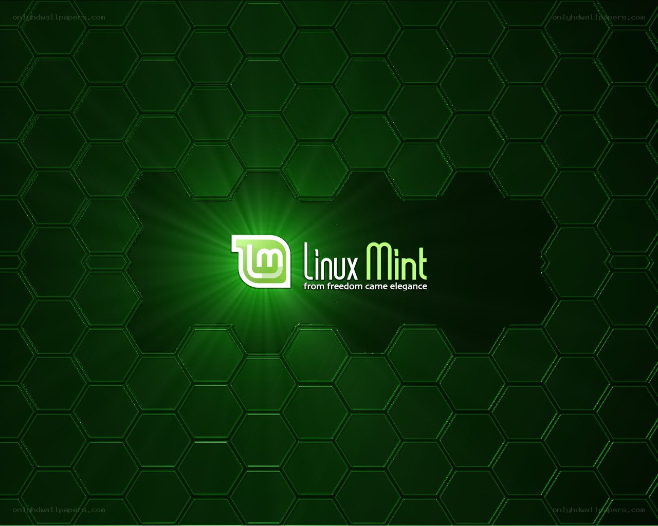 Linux Mint logo on green hexagon