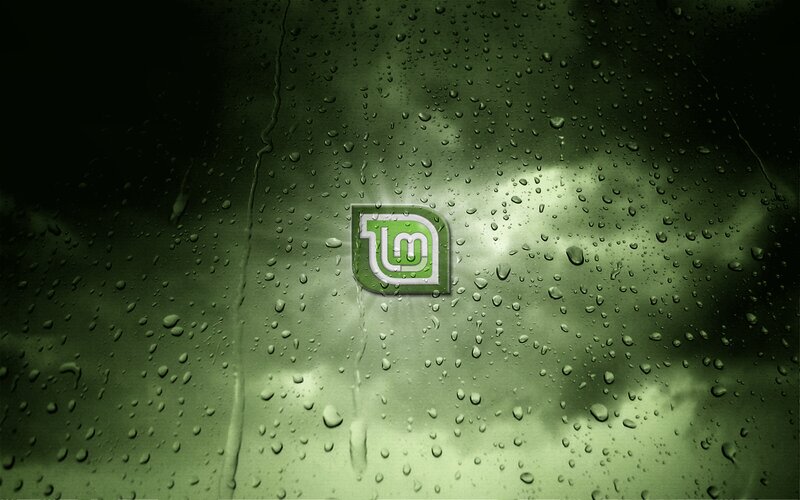 Linux Mint Logo on Wet Glass — Green