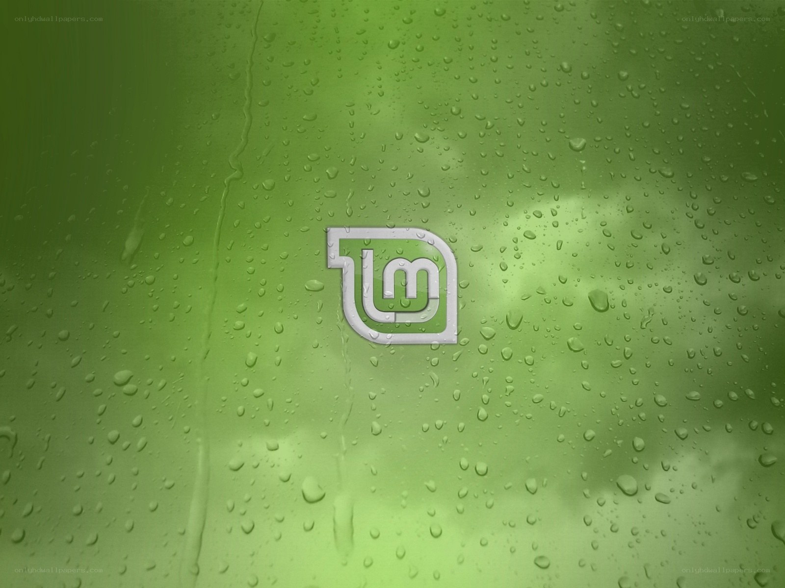 Linux Mint logo on wet glass