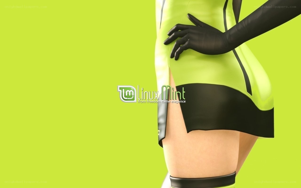 Linux Mint promotional art