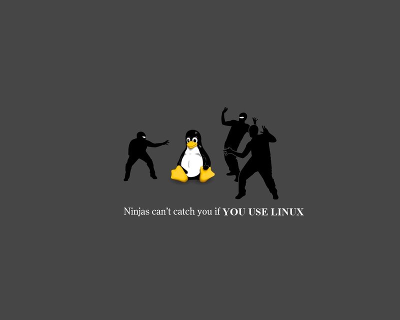 Linux penguin and ninjas