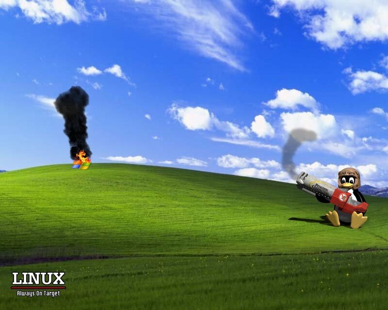 Linux penguin attacks Windows