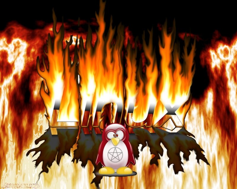 Linux penguin in flames