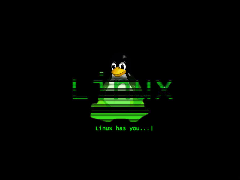Linux penguin logo