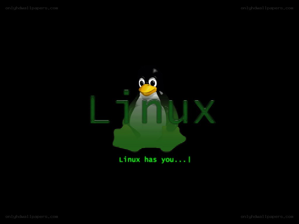 Linux penguin logo