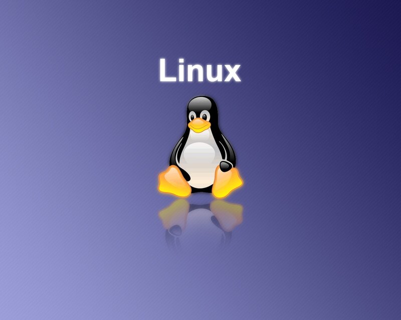 Linux penguin logo