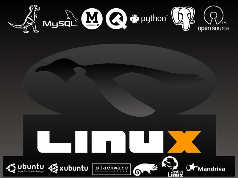 Linux Penguin Logo — Black