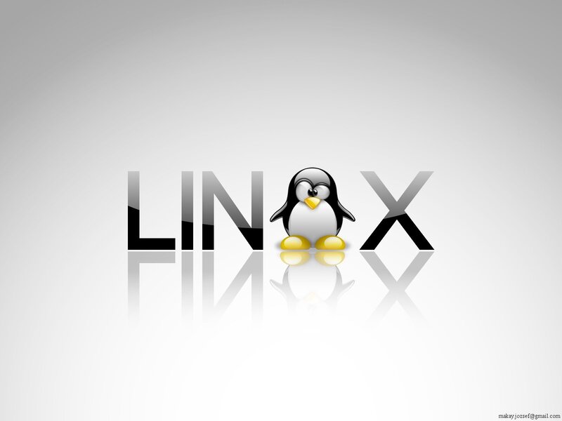 Linux penguin logo