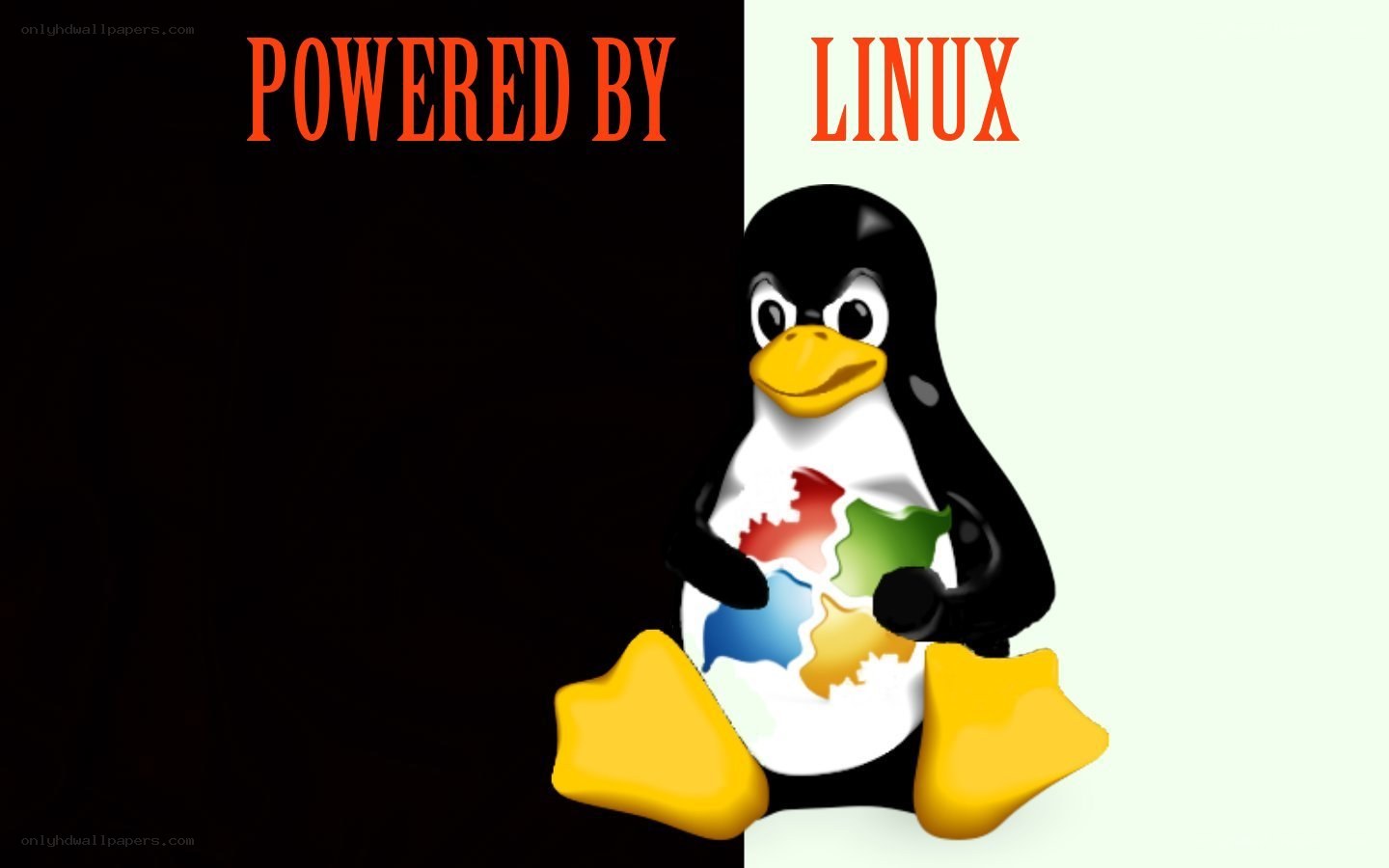 Linux penguin mascot