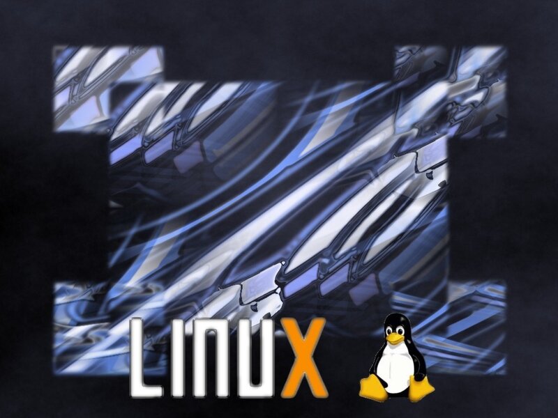 Linux Penguin Mascot — Black