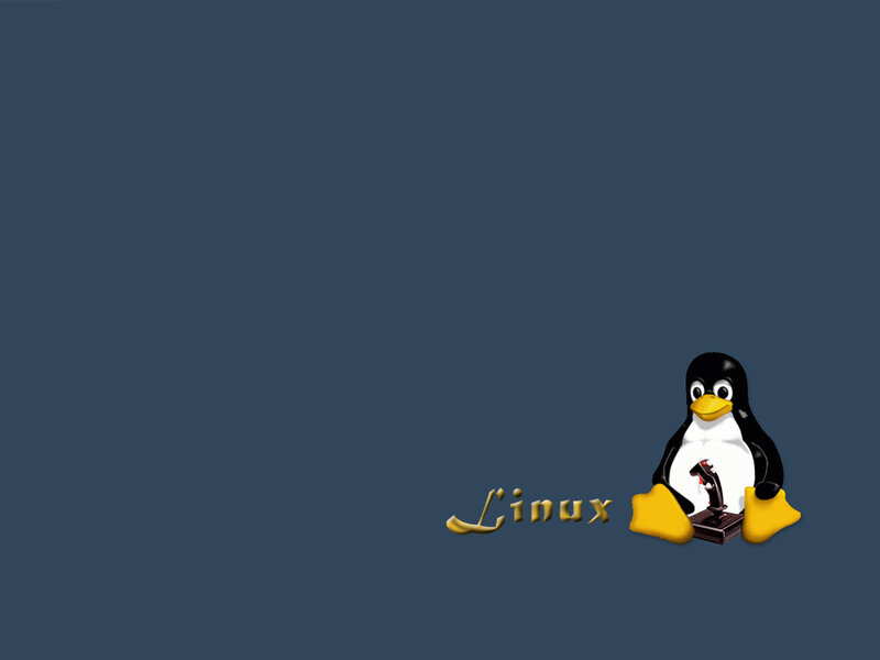 Linux penguin mascot